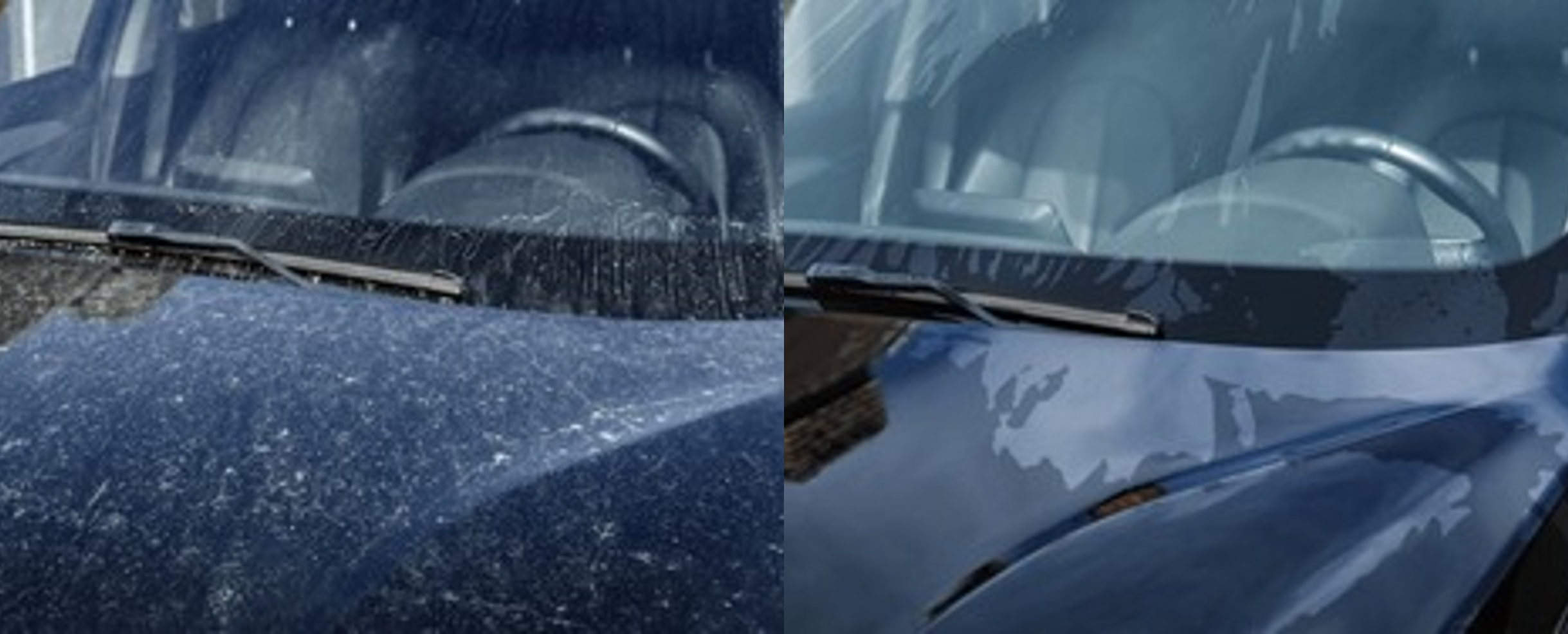 Servicio de limpieza exterior